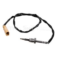 Sensor, Abgastemperatur