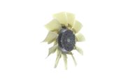 Thumbnail - Koelventilatorwiel - CFF507000P - MAHLE