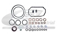 SET GARNITURI POMPA INJECTIE