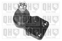 Trag-/Führungsgelenk