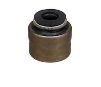 Dichtring, Ventilschaft