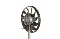 Thumbnail - Koelventilatorwiel - CFF134000S - MAHLE