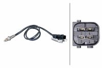 NOx-Sensor, NOx-Katalysator