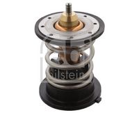Thermostat, Kühlmittel
