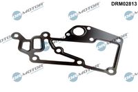 Gasket, thermostat housing