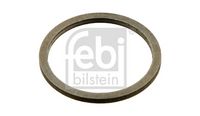 Dichtring, Steuerkettenspanner