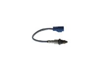 Article Picture