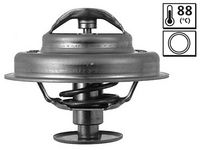 Thermostat, Kühlmittel