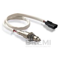 ламбда-сонда