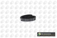 Timing Belt