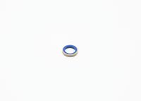 Blīve, Pamatlukturu rāmis