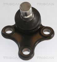 Trag-/Führungsgelenk