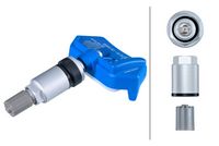 Radsensor, Reifendruck-Kontrollsystem