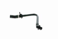 Article Picture