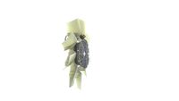 Thumbnail - Koelventilatorwiel - CFF506000P - MAHLE