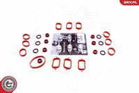 Repair Kit, intake manifold module