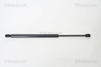 Gasfeder, Koffer-/Laderaum