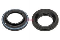 Wälzlager, Federbeinstützlager