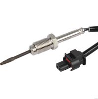 Sensor, Abgastemperatur