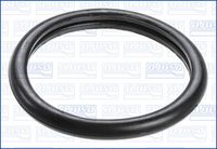 Garnitura termostat AJUSA, Cod: 00538100