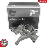 Steering Knuckle, wheel suspension