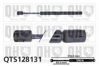 Gasfeder, Koffer-/Laderaum