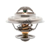 термостат, охладителна течност