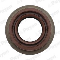 Wellendichtring, Differential