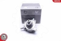 Vacuum Pump, braking system