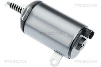 Element de reglare, arbore excentirc (cursa variabila ventil TRISCAN, Cod: 8900 11805