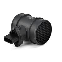 DELPHI Luchtmassameter 5