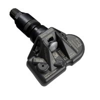 Radsensor, Reifendruck-Kontrollsystem