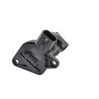 DELPHI Luchtmassameter 5