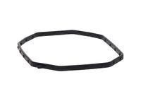 Blīve, Pamatlukturu rāmis