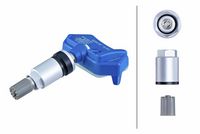 Radsensor, Reifendruck-Kontrollsystem