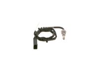 Sensor, Abgastemperatur