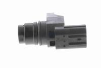 Article Picture
