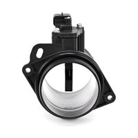 DELPHI Luchtmassameter 3