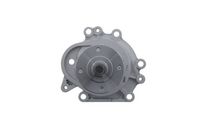 Wasserpumpe, Motorkühlung