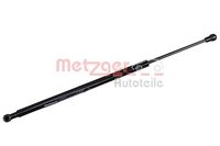 Gasfeder, Koffer-/Laderaum