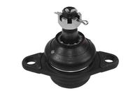 Trag-/Führungsgelenk