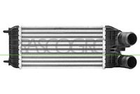 Intercooler, compresor PRASCO, Cod: CI325N001
