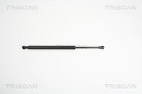 Gasfeder, Koffer-/Laderaum