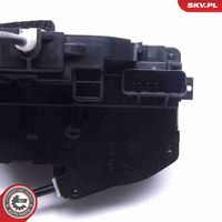Article Picture