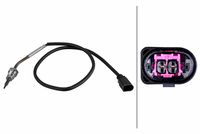Sensor, Abgastemperatur