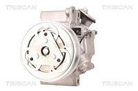 Compresor, climatizare TRISCAN, Cod: 9020 28006