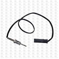 Sensor, Abgastemperatur