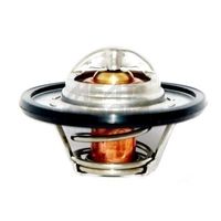 термостат, охладителна течност