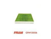 Филтър купе (поленов филтър)