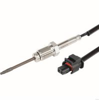 Sensor, Abgastemperatur